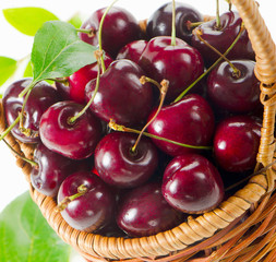 fresh cherries