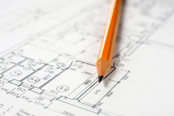 Pencil drawing yellow