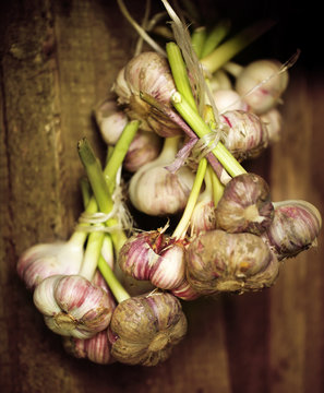 Fresh Garlic In Bunch