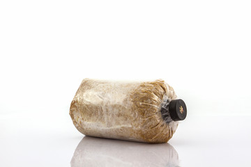 Close up bottle for mushrooms growing.