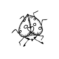 Beetle on a white background. Vector illustration