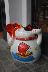 Obraz premium Happy cat in Hong Kong, China