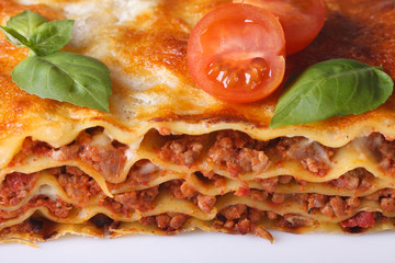 Tasty lasagna macro on a white plate, horizontal