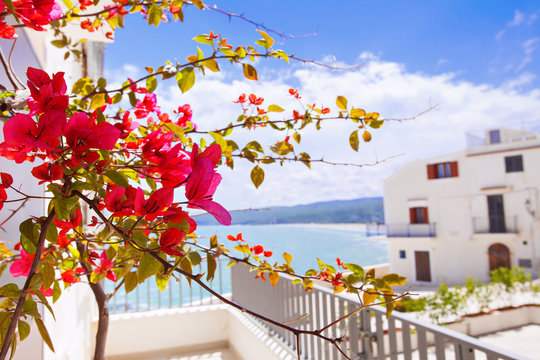 View from hotel balcony on a holiday resort, Italy