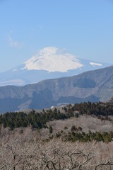 Fototapeta na wymiar Mount Fuji view, Tokyo, Japan