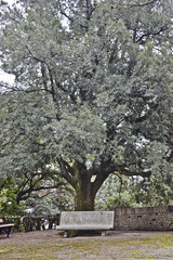 Arcevia: Il parco