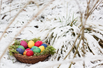 Colored eggs in a basket in snow