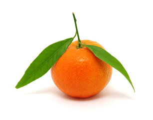 mandarin