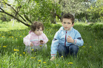 In the spring on a glade with dandelions sitting small curly boy