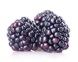 blackberries