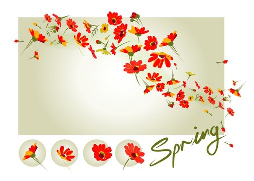 red spring is in the air, blooming flowers everywhere
