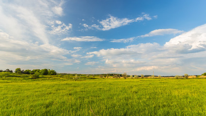 Fototapeta na wymiar field on a background of the sky