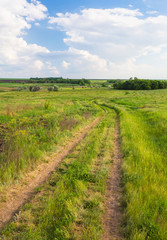Fototapeta na wymiar Summer landscape with green grass and road