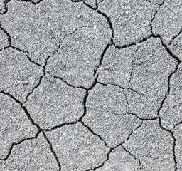 dry soil cracks