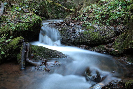 Die Drachenschlucht bei Eisenach in Th&uuml;ringen