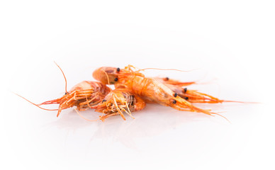 shrimp