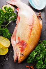 raw fresh rainbow trout fish with herb and  spices
