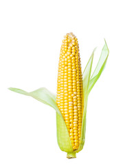 corn