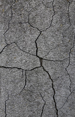 Texture