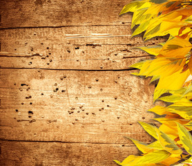 Autumn background with yellow foliage and old wood