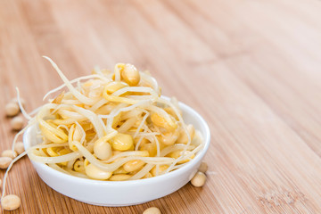 Soy Sprouts (preserved)