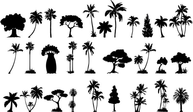various vector trees silhouettes for you design