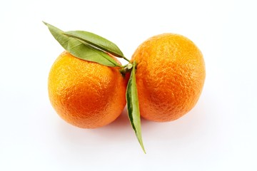 clémentines