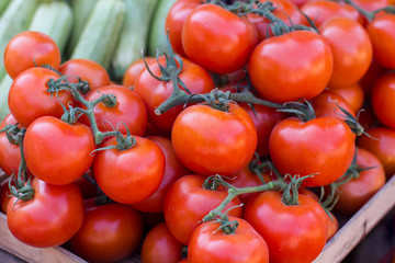 Fresh Red Ripe Tomatoes