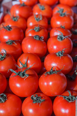 Fresh Red Ripe Tomatoes