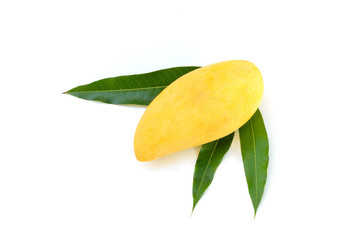 Yellow mango isolated