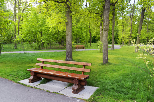 Old bench