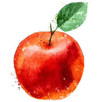 apple logo design template. fruit or food icon.