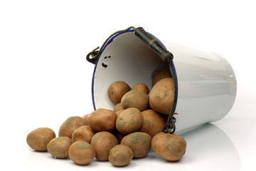 bunch of potatoes in an old enamel bucket on a white background
