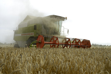 Combine harvester
