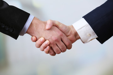 Business handshake on bright background