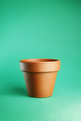 flower pot isolated on green