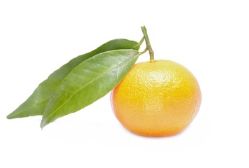 Tangerine, mandarin isolated on white background