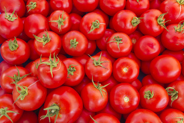 tomatoes on market