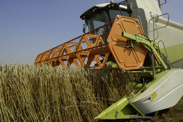Combine harvester