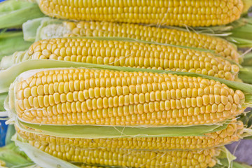 corn piled up on market