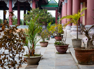 Fototapeta na wymiar Bonsai in Linh Ung Pagoda Vietnam Danang