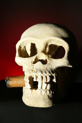 Smoking human scull with cigar in his mouth