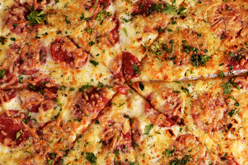 Tasty pizza close up