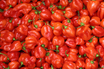 red peppers background