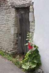 Flower door