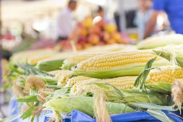 corn on market © cnky photography