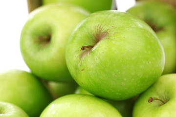 freshly harvested 