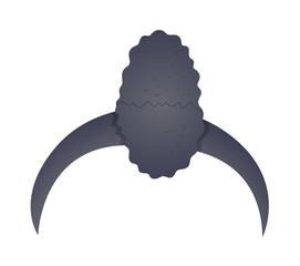 Fashionable Hairstyle Vector