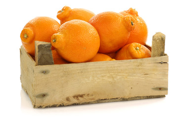 Minneola tangelo fruit in a wooden crate on a white background