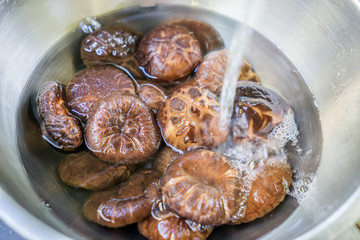 shiitake mushrooms